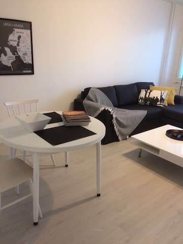 Fully renovated apartment,300 m from towncentre,