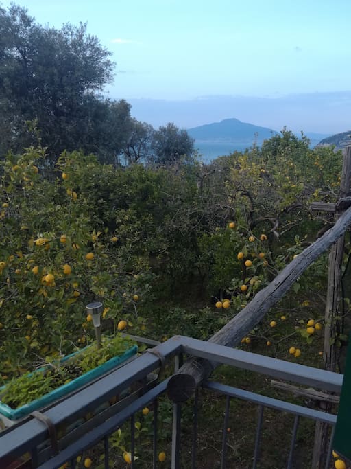 Panorama sul Vesuvio