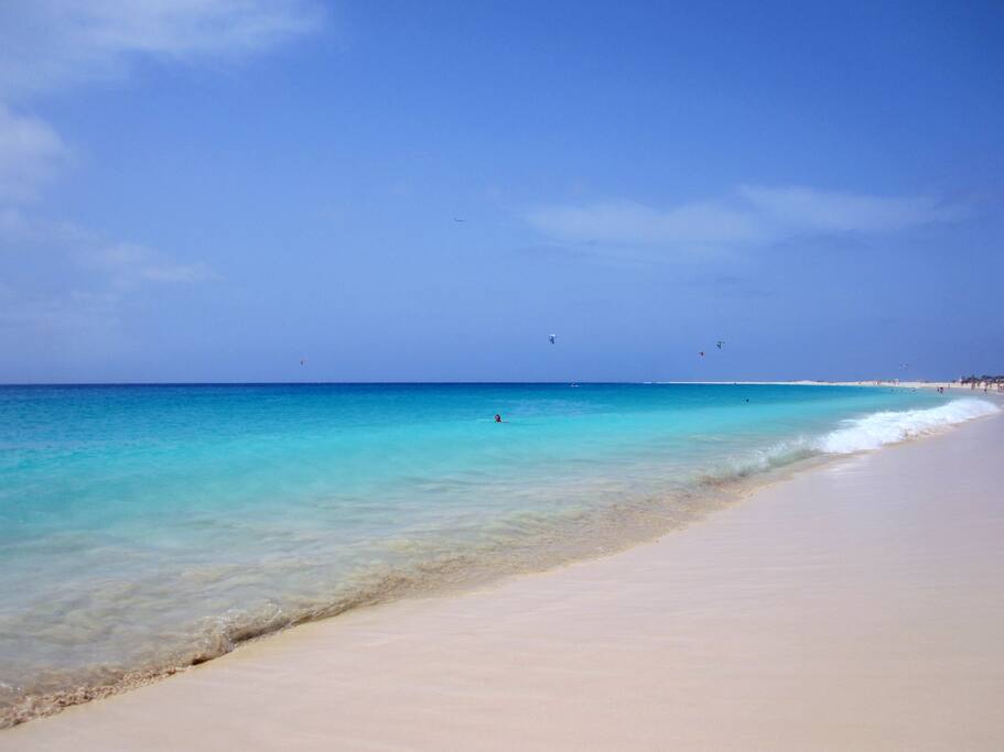 Tropical Paradise