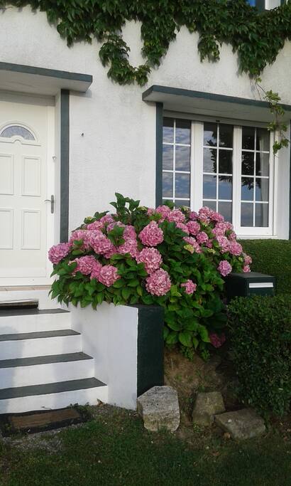 L entrée de la maison avec ses hortensias tout fleuris