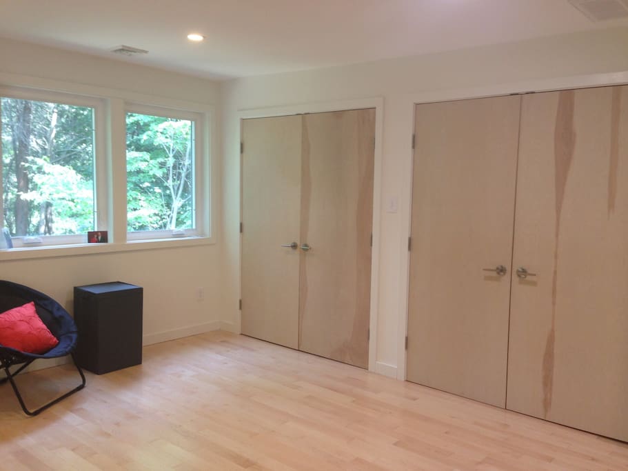 BR 1: large closets