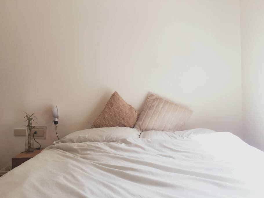 客房 | Guest Room