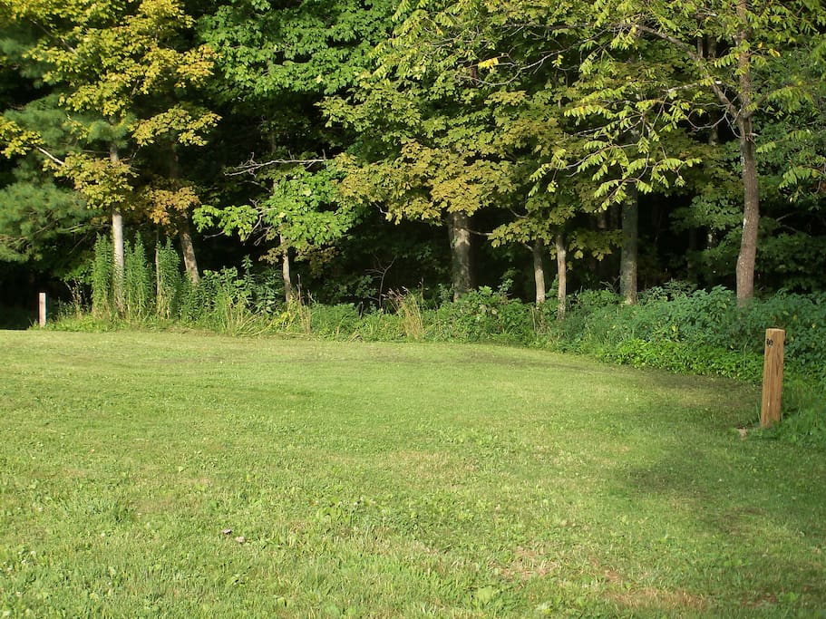 campsite near the hedgerow