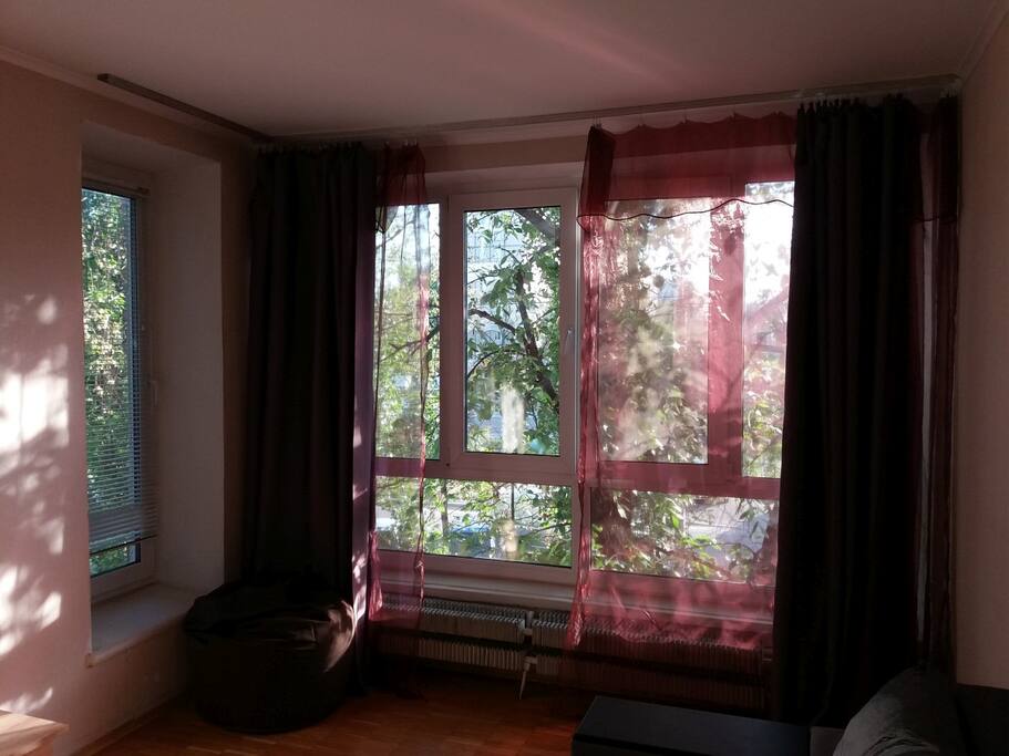 Windows, sunny spring day