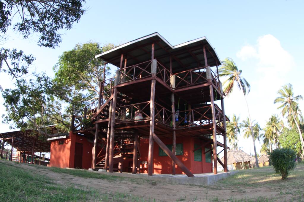 THE TREE HOUSE