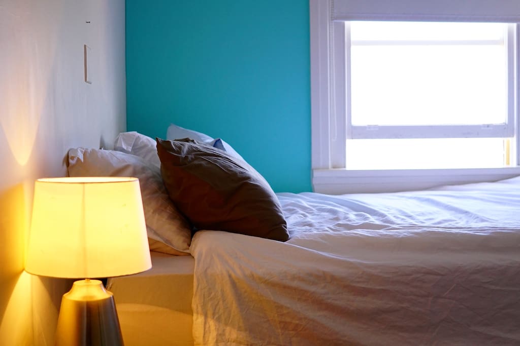 The Bondi Beach Green House