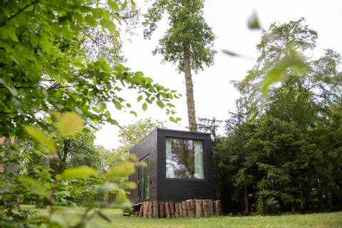 Tiny house on the idyllic pond