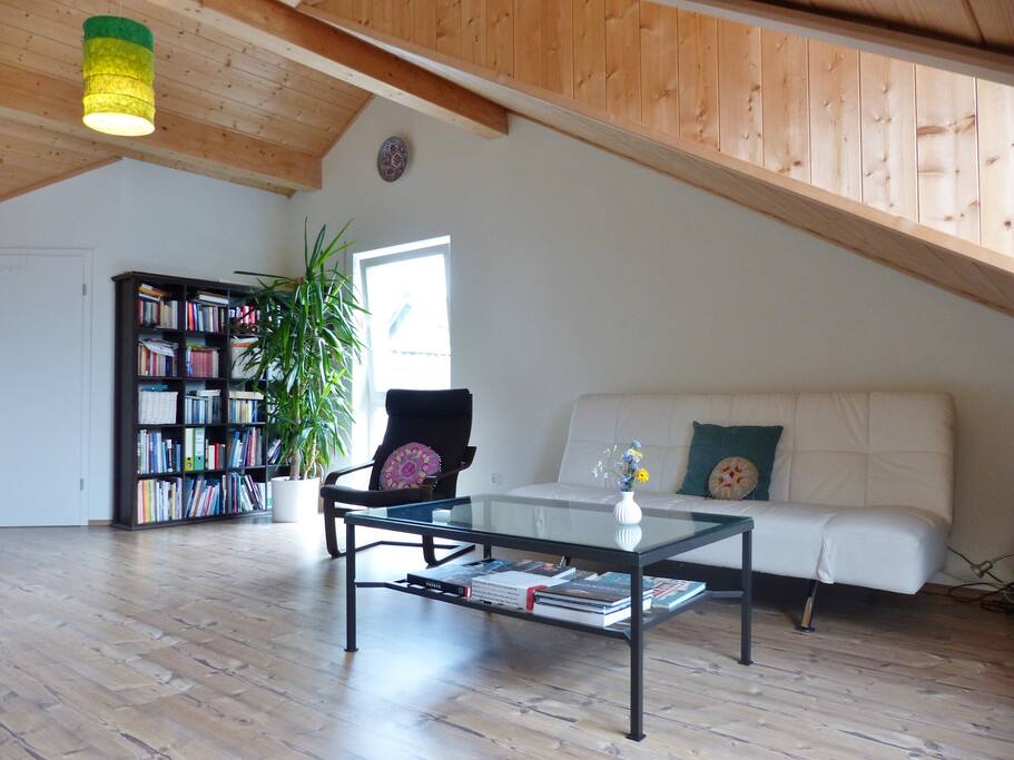 This is the room, with sofa bed