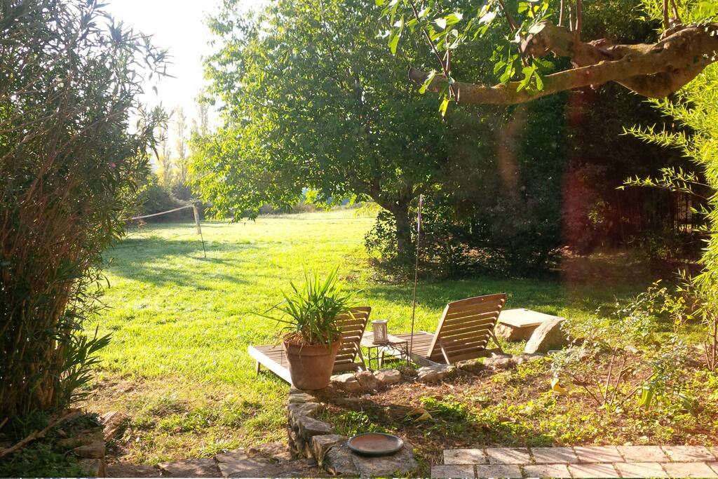 Jardin