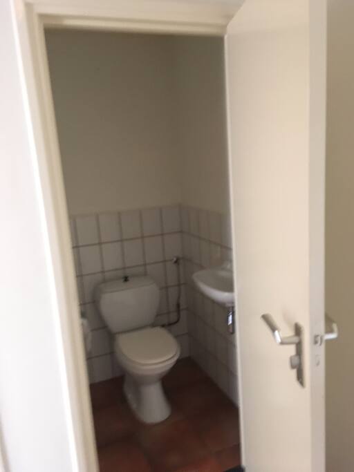Net toilet