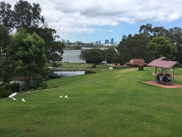 FREE wifi on the beautiful Swan River,