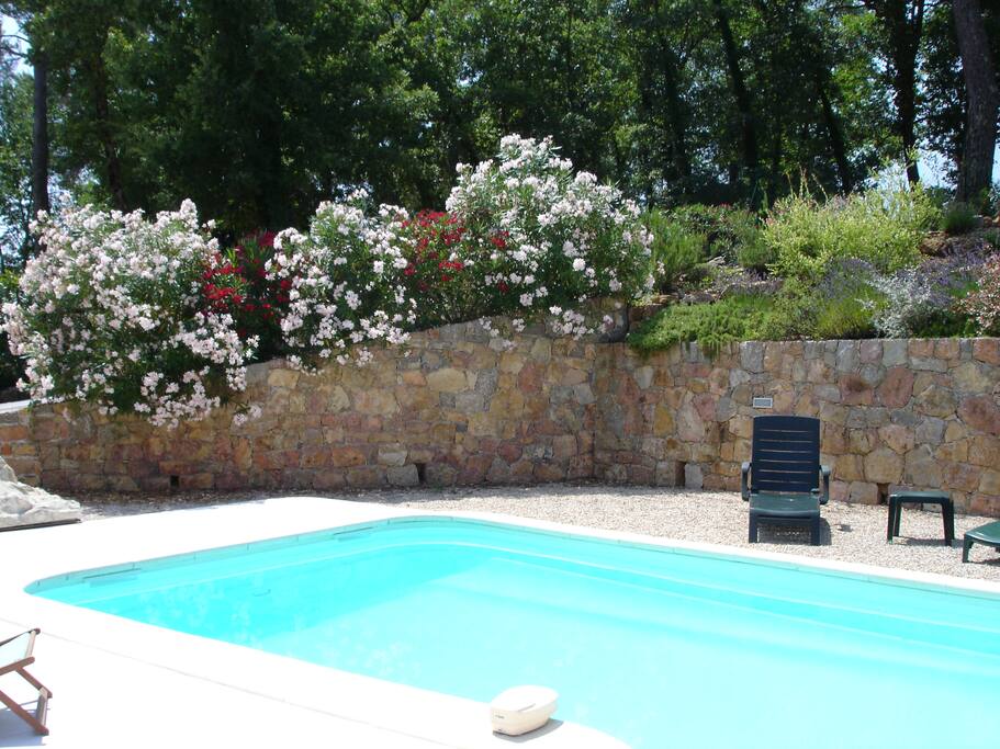 L'espace piscine