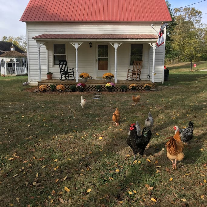 Stoner View Farm Houses for Rent in Paris, Kentucky, United States