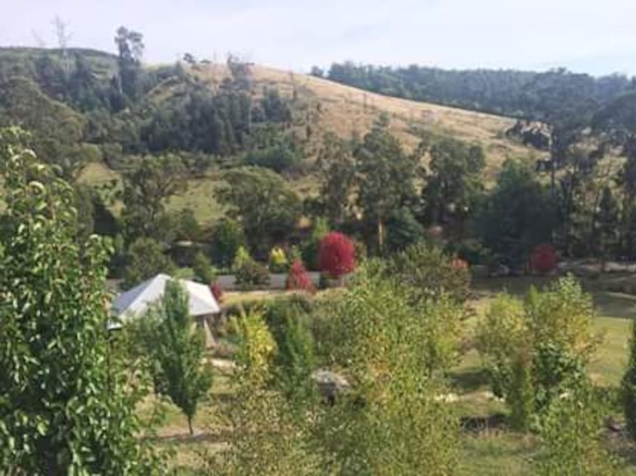 A guest house on a beautiful rural property, across from the Traralgon Creek. (15 minute drive from Traralgon, 20 minutes from Morwell)