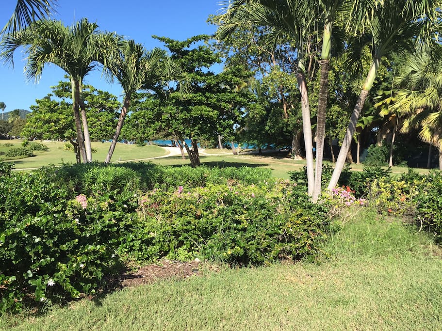 Lush and manicured courtyard for walking, running socializing with other vacationers.