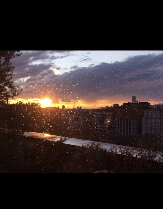 Vista tramonto
