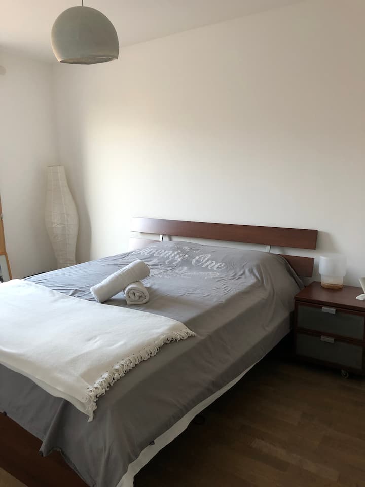 Room with private bathroom near Geneva Apartments for Rent in Gex