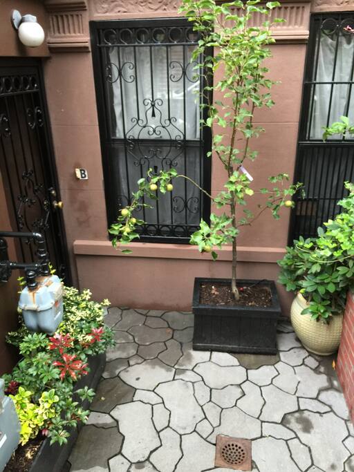 View of private entrance to garden-level rental apartment.