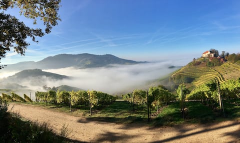 Apartment - Golden Wine Village of Durbach
