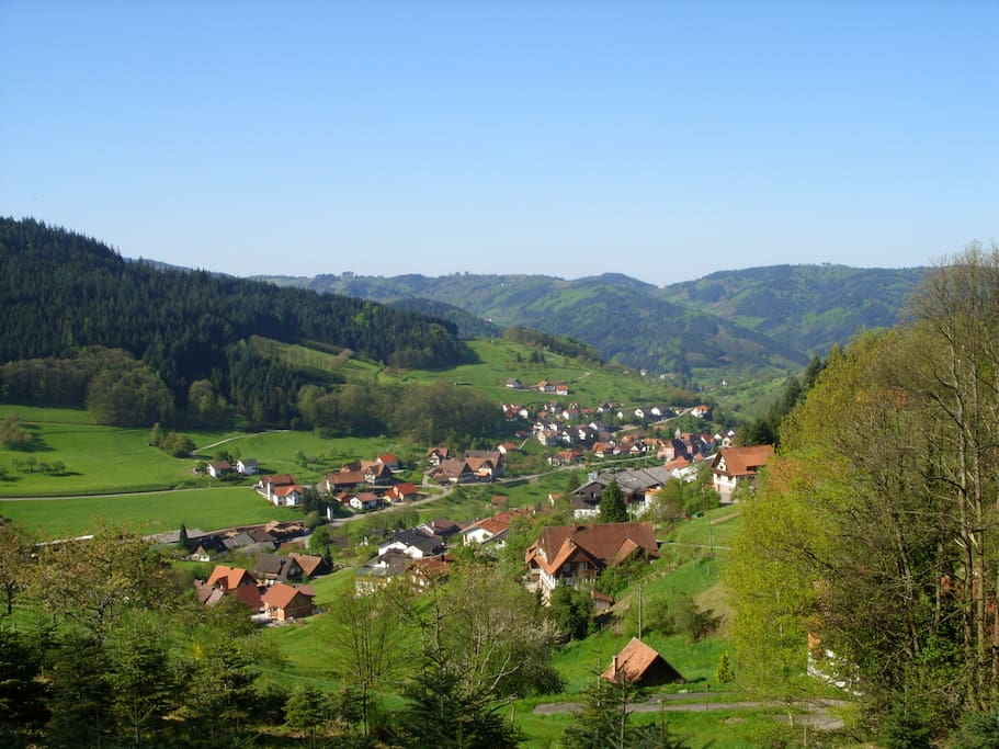 The village of Seebach