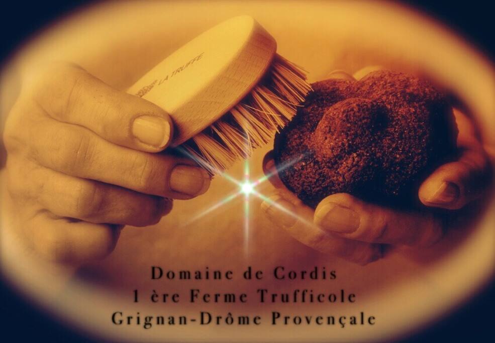 Notre diamant noir...