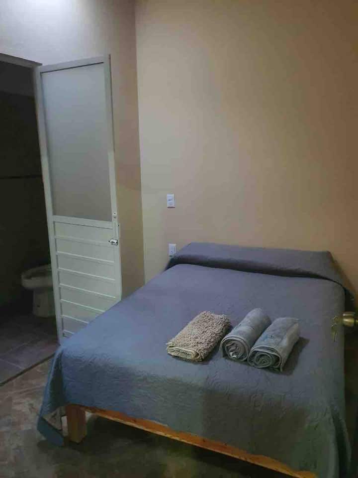 Habitación con cama matrimonial y baño dentro de la misma.