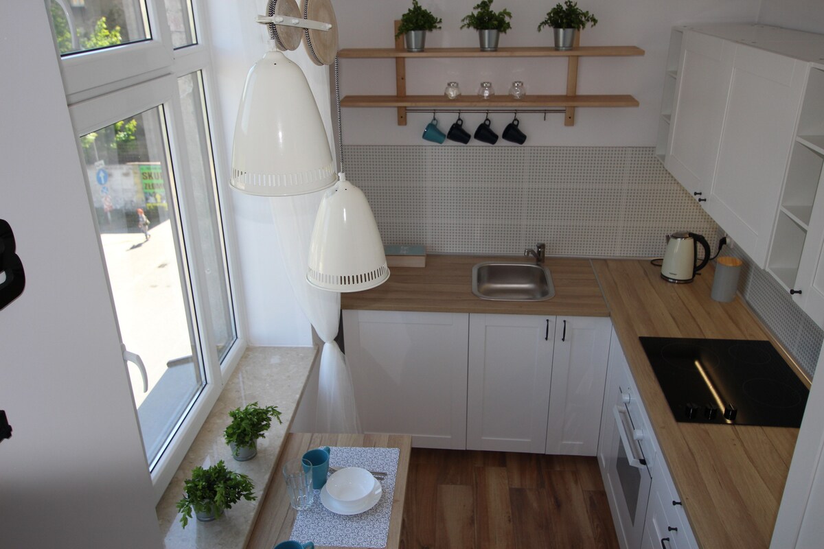 A modern kitchen is presented with white cabinetry and wooden countertops. Multiple potted plants are arranged on shelves. Two table settings featuring blue mugs and plates are visible. Natural light streams in through large windows, illuminating the cooking area with a stove and sink.