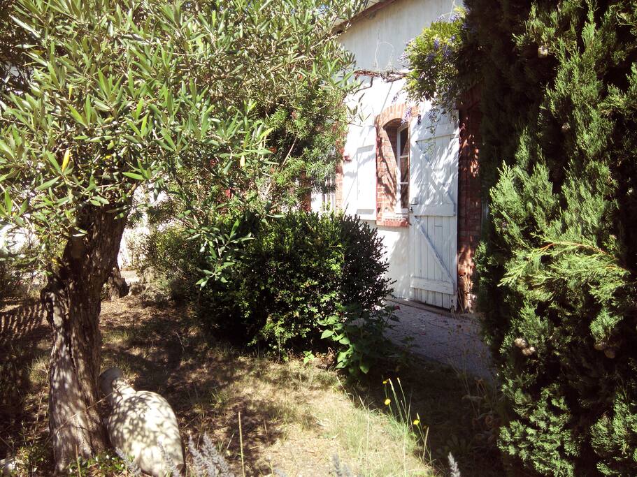 Jardin