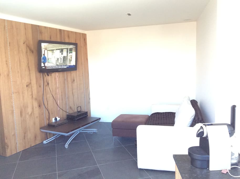 Salon - living room