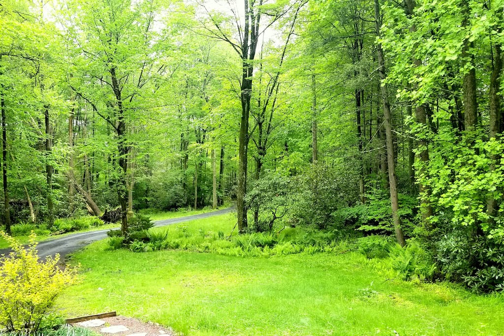 Front lawn seen from the porch