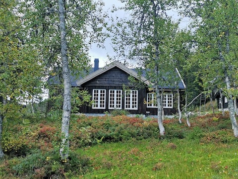 Top Airbnb: Family cabin at Norefjell in Krødsherad