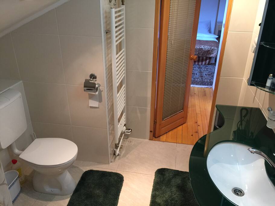 Private bathroom and toilet that connect to the bedroom