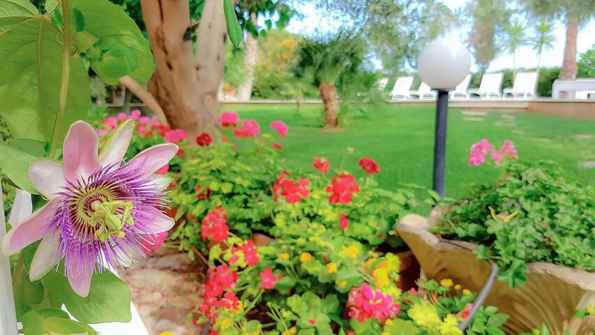 Villa Gina – Torre San Giovanni gallery image 2