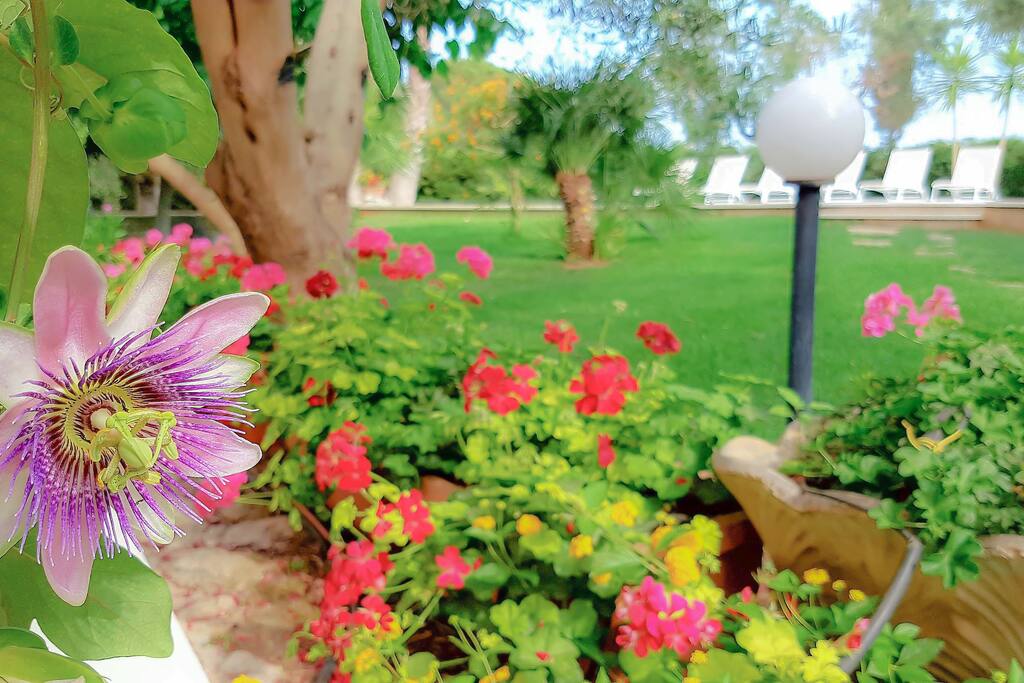 Particolare giardino