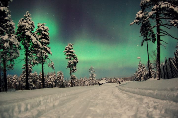 Private room in central apartment with sauna.