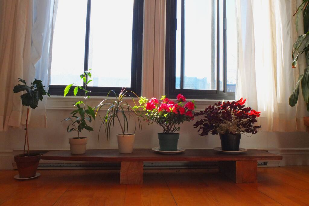 Top floor light