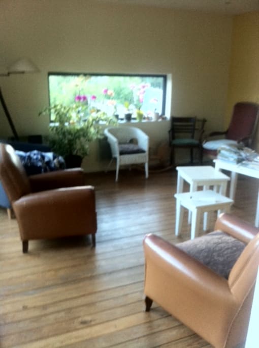 salon