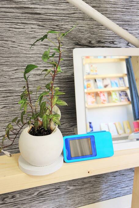 pocketWIFI