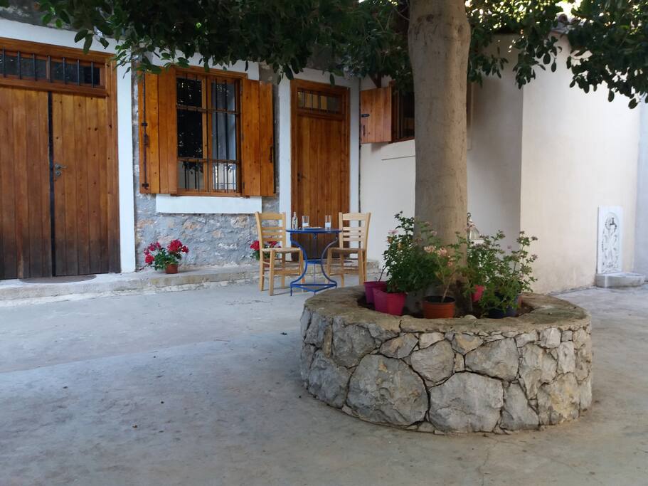 Αυλή