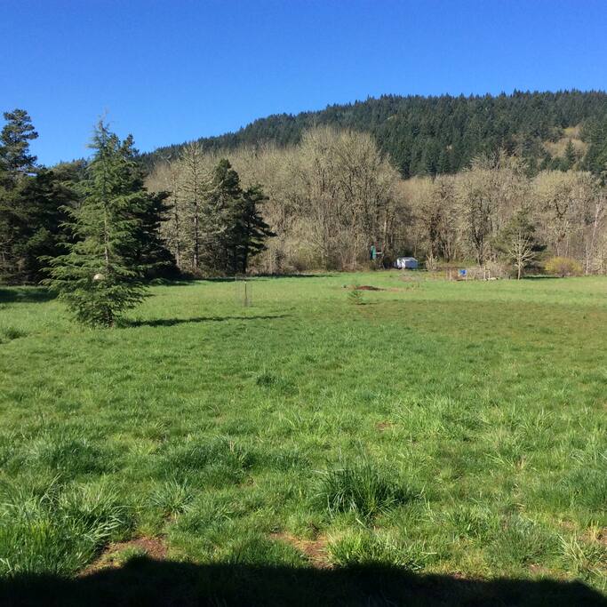 Looking to the bottom of the property from the front deck