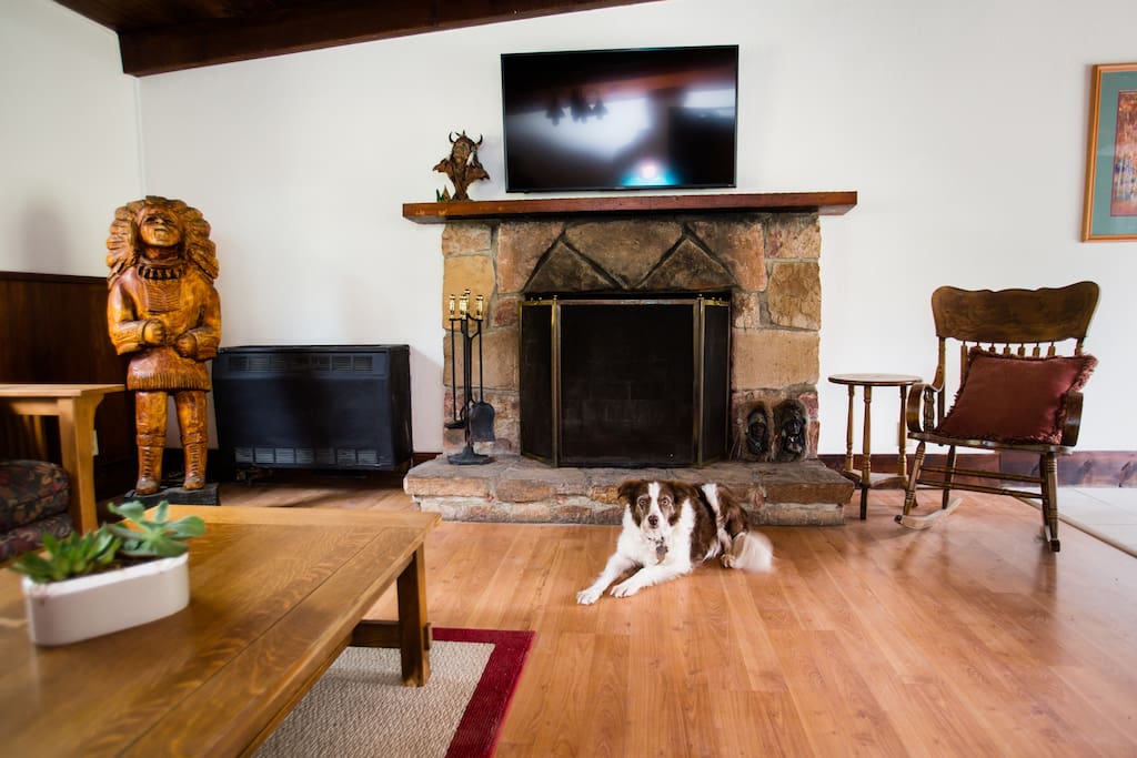 well behaved dogs are always welcome!