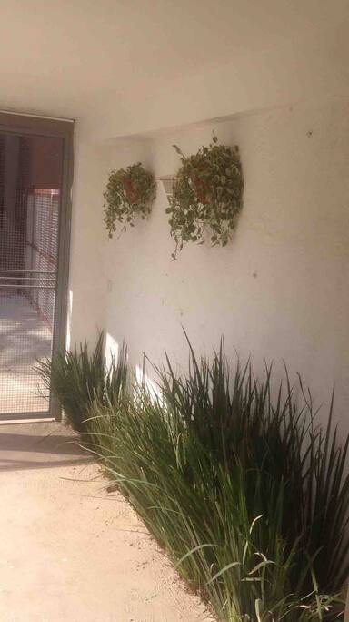 Rampa de entrada