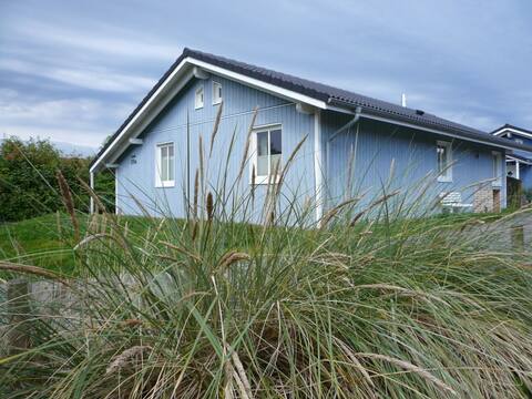 Jewel at the Baltic Sea    Comfortholzhaus with Sauna