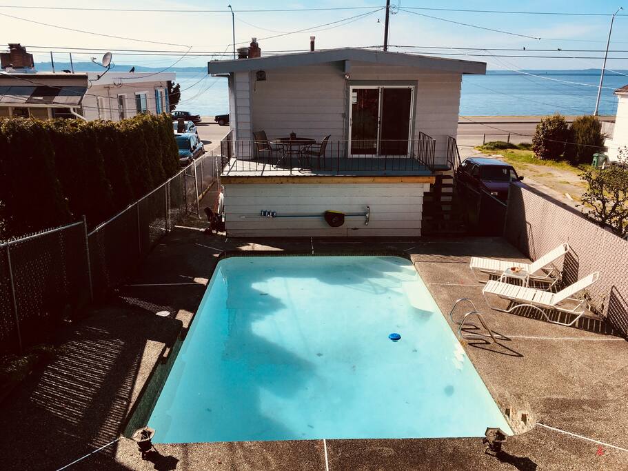 Backyard Pool