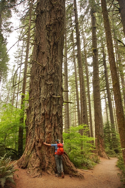 Показать полноэкранное фото от хозяина