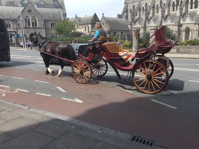 Fab Dublin City Apt near Dublin Castle,Guinness SH