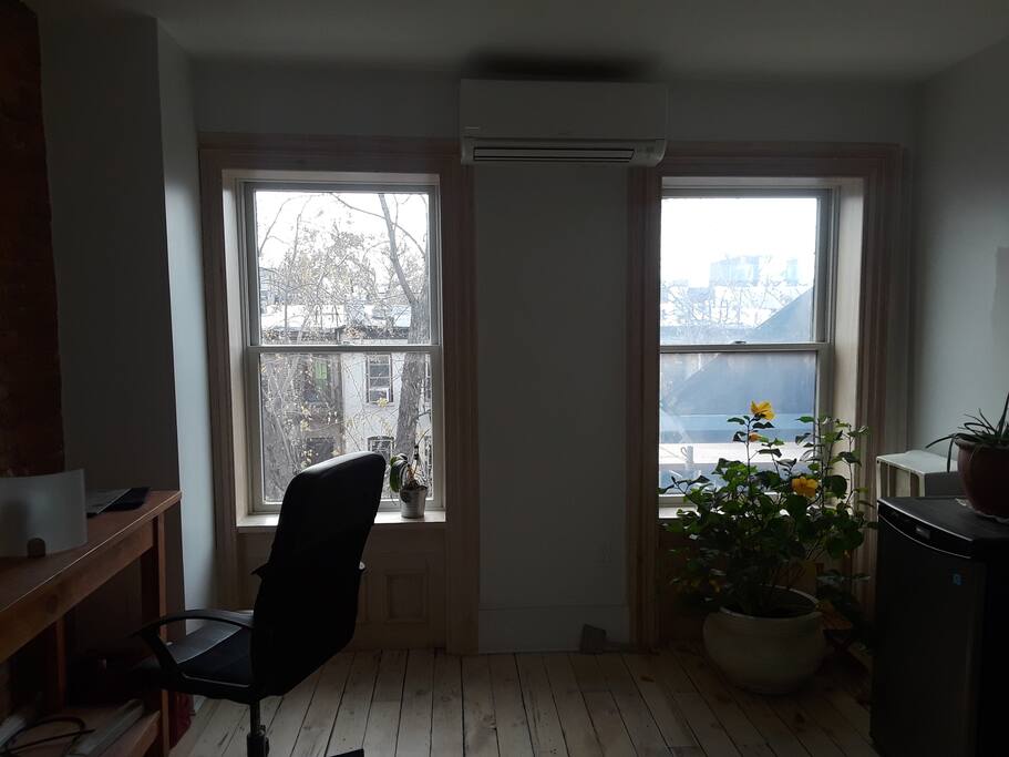 Livingroom windows