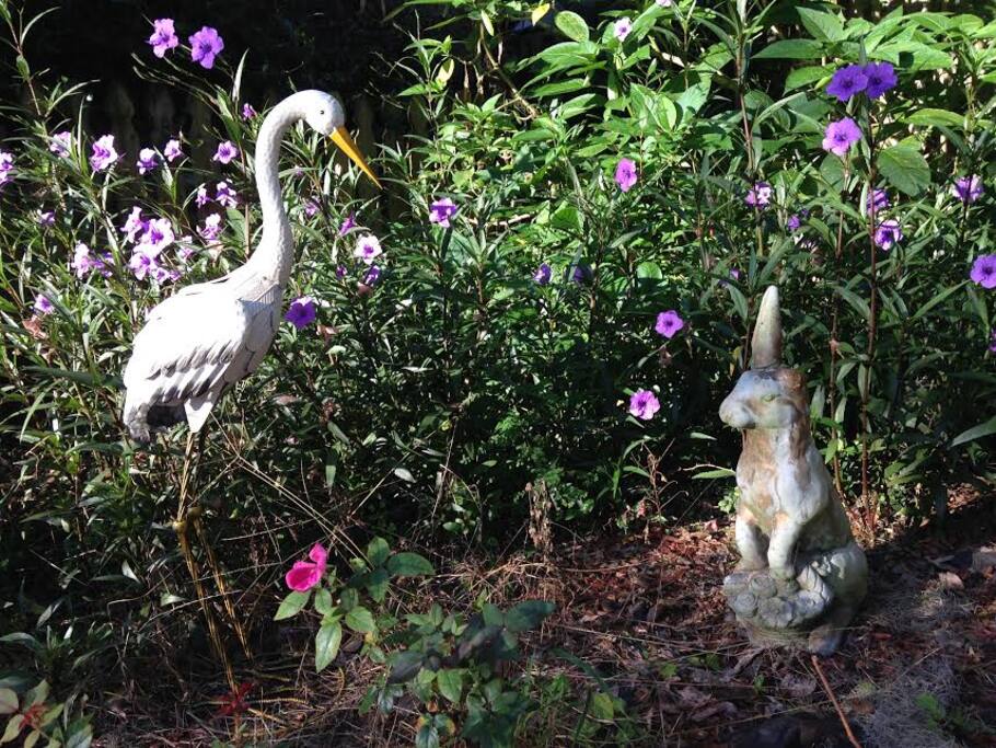 Bird and Bunny Cottage