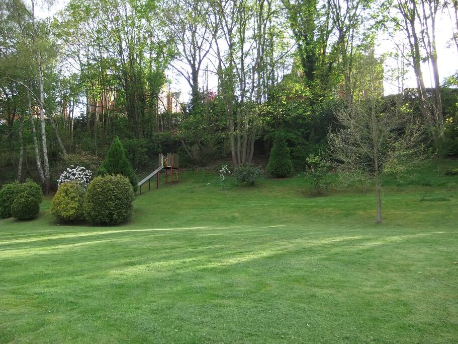 Back-garden