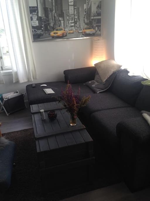 Shared living room with TV, Wifi, movies and tv-series, stereo.